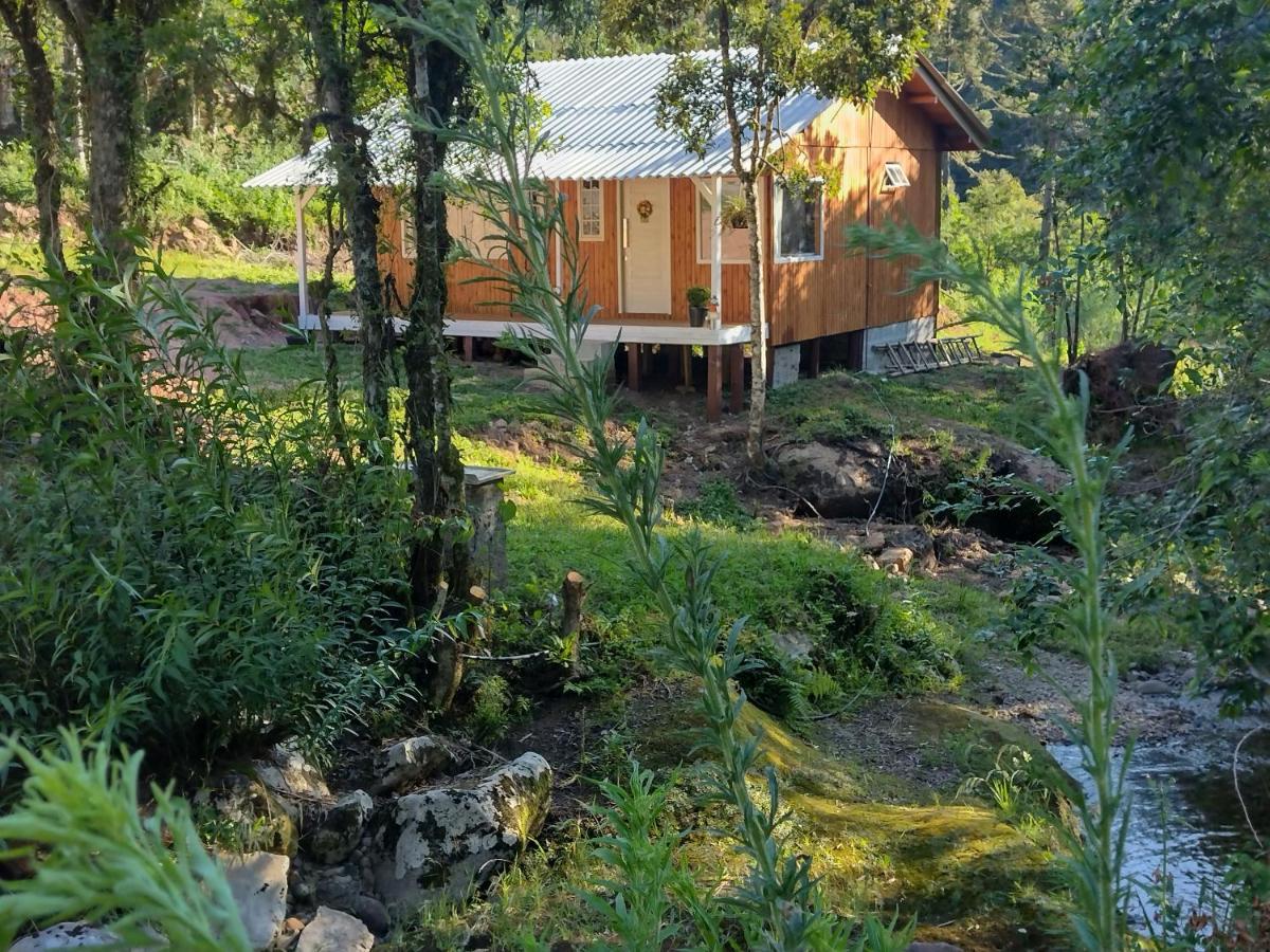Casas De Temporada Serra Dos Bitus Urubici Eksteriør bilde