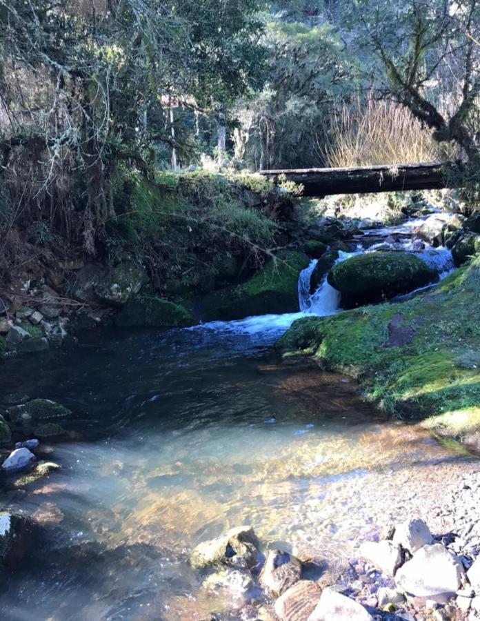 Casas De Temporada Serra Dos Bitus Urubici Eksteriør bilde