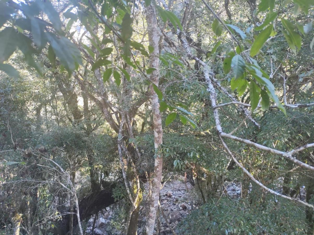 Casas De Temporada Serra Dos Bitus Urubici Eksteriør bilde
